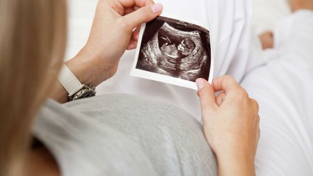 Фертильность у женщин: как рассчитать лучший день для зачатия ребенка - «Мой папа знает»
