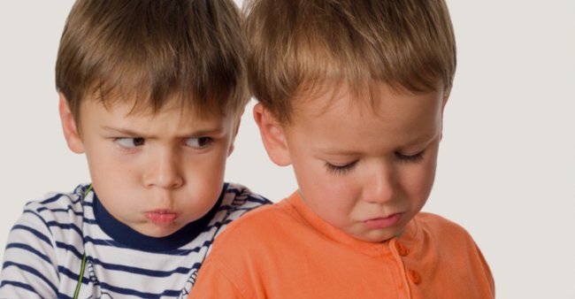 Ссоры детей в семье – методы примирения - « Как воспитывать ребенка»