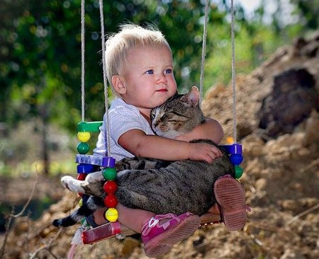 Как формировать у детей культуру обращения с животными - « Как воспитывать ребенка»