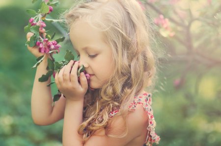 Как научить детей бережному отношению к природе - « Как воспитывать ребенка»