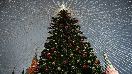 "Единая Россия" проведет новогодние акции в праздники - «Мой папа знает»