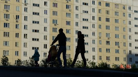 В России родители 440 тысяч детей от восьми до 17 лет получили выплаты - «Мой папа знает»