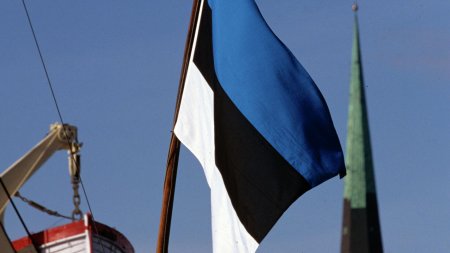 Русскому образованию в Эстонии вынесен приговор - «Мой папа знает»