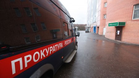 В Москве полуголый мужчина избил сожительницу на прогулке с сыном - «Мой папа знает»