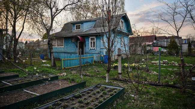 В МЧС рассказали, как обезопасить детей на даче - «Мой папа знает»