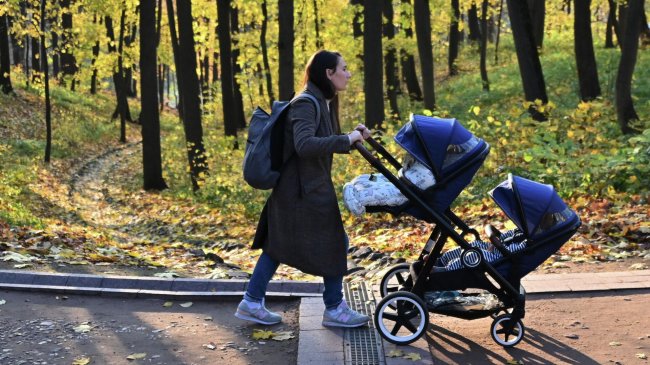 Подмосковную программу поддержки материнства назвали одной из лучших в РФ - «Семья»