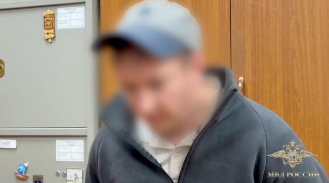 Обвиняемый в убийстве девочки в Ленобласти сообщил, что был судим за разбой - «Мой папа знает»