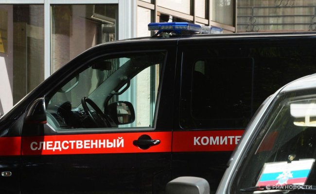 В Петербурге возбудили дело после нападения собаки на пятилетнюю девочку - «Мой папа знает»